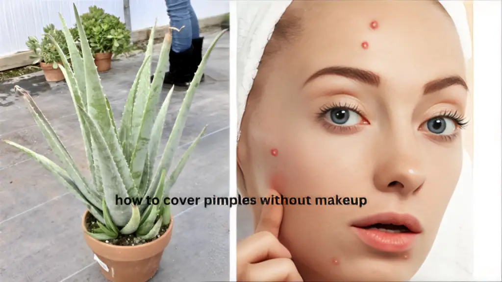 how to cover pimples without makeup
